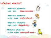Unit 4 We love animals B Let's learn 课件（含视频素材）