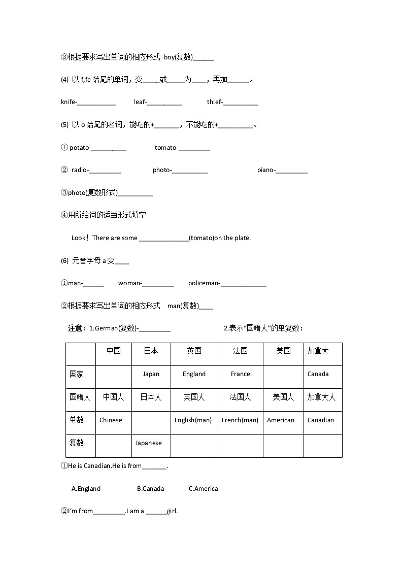3【小升初英语专题复习】名词的数教案讲义及练习02