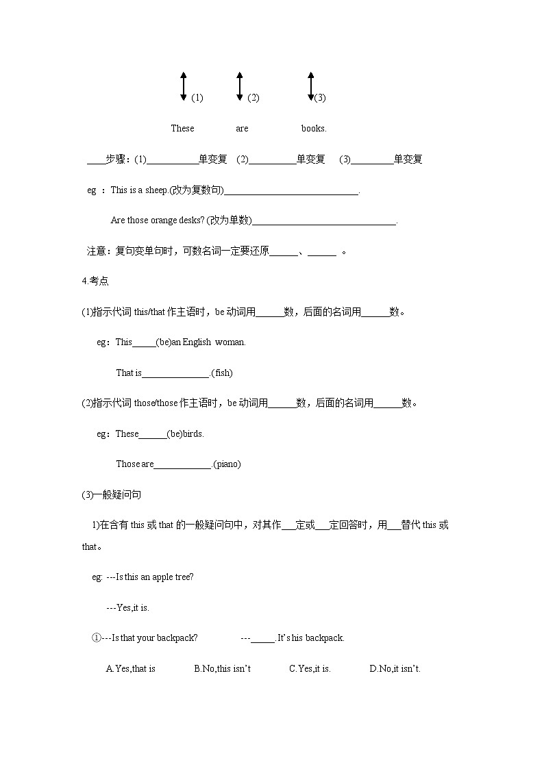 8【小升初英语专题复习】代词（二）教案讲义及练习02