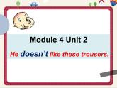 二上 Module 4 Unit 2 He doesn't like these trousers. 课件