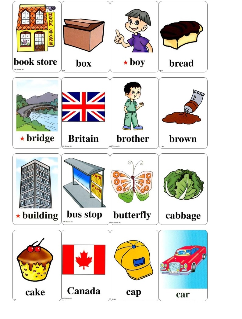 小学英语单词学习卡片100张-教习网|学案下载