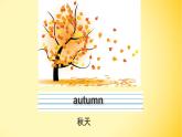 人教版（精通）小学英语六年级上 Unit 6 There are four seasons in a year Lesson 36 PPT课件