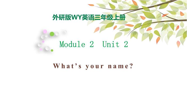 Module 2 Unit 2 What's your name 课件（29PPT）01