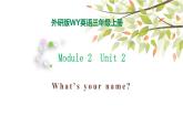 Module 2 Unit 2 What's your name 课件（29PPT）