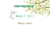 Module 7 Unit 1 What's this 课件（29PPT）