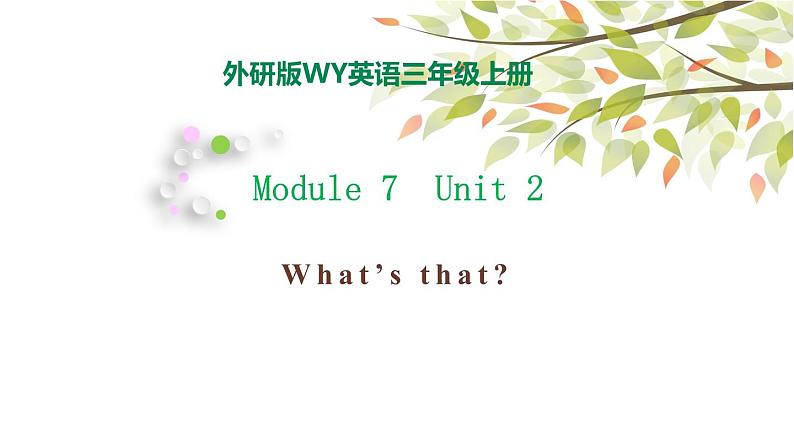 Module 7 Unit 2 What's that 课件（28PPT）01