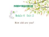 Module 6 Unit 2 How old are you 课件（28PPT）