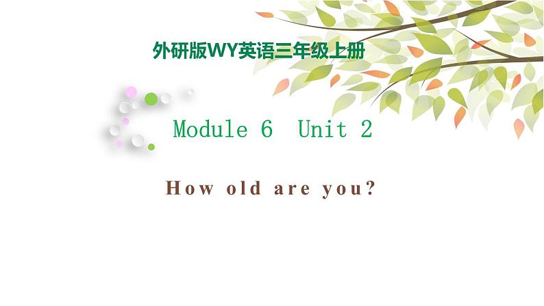 Module 6 Unit 2 How old are you 课件（28PPT）01