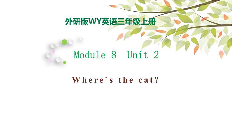 Module 8 Unit 2 Where's the cat 课件（29PPT）01