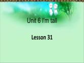 Unit 6 I'm tall Lesson 31 課件3
