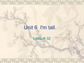 Unit 6 I'm tall Lesson 32 课件2