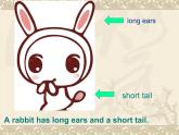 Unit 6 I'm tall Lesson 32 课件2