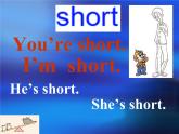Unit 6 I'm tall. Lesson 33 课件