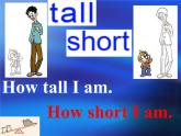 Unit 6 I'm tall. Lesson 33 课件