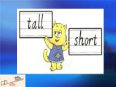 Unit 6 I'm tall. Lesson 33 课件