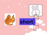 Unit 6 I'm tall Lesson 33 课件2