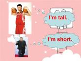 Unit 6 I'm tall Lesson 33 课件2
