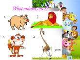 Unit 6 I'm tall Lesson 35 課件2