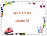 Unit 6 I'm tall. Lesson 35 课件