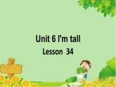 Unit 6 I'm tall Lesson 34 课件2