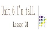 Unit 5 I'm tall. Lesson 31 課件