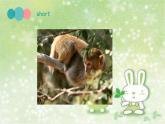 Unit 6 I'm tall Lesson 33 课件3