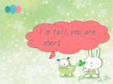 Unit 6 I'm tall Lesson 33 课件3