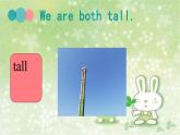 Unit 6 I'm tall Lesson 33 课件3