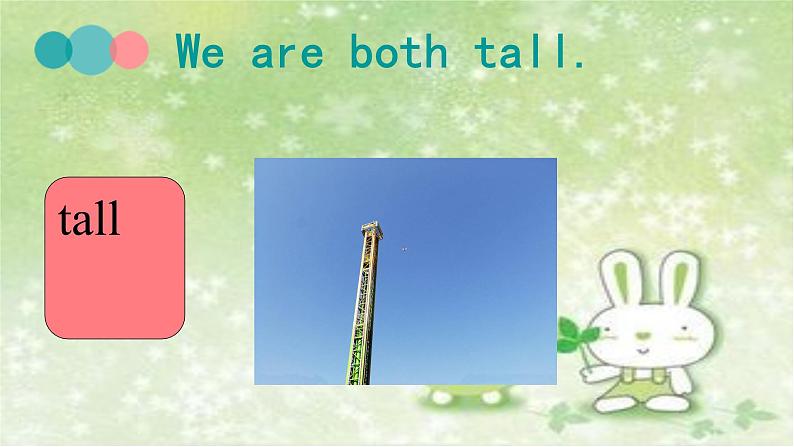 Unit 6 I'm tall Lesson 33 课件305