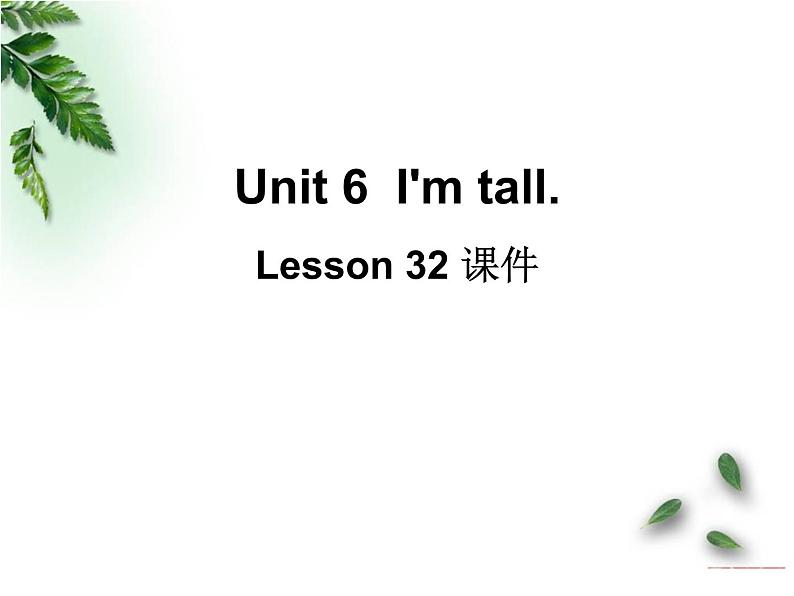 Unit 6 I'm tall Lesson 32 课件301