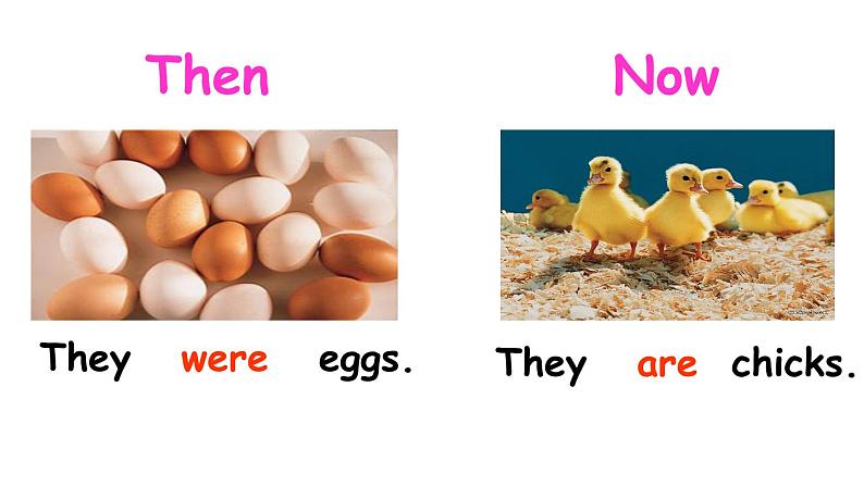 Module 5 Unit 2 They were young 课件+素材03