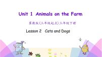 冀教版 (三年级起点)三年级下册Lesson 2 Cats and Dogs优秀ppt课件