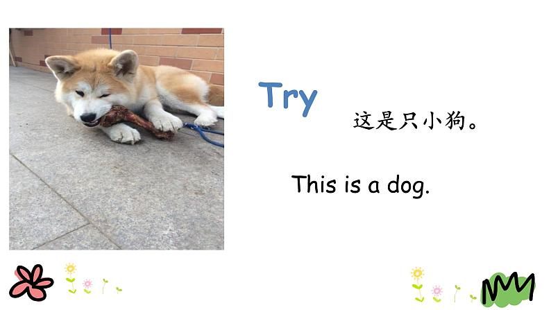 Unit 1 Lesson 2   Cats and Dogs 课件+素材07