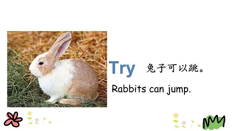 Unit 1 Lesson 4   Horses and Rabbits 课件+素材07