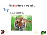 Unit 2 Lesson 8   Tigers and Bears 课件+素材
