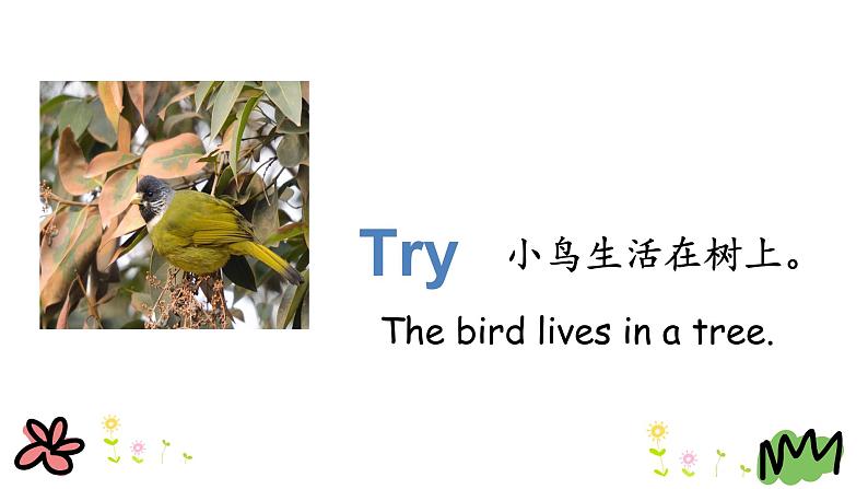 Unit 2 Lesson 10 Where Do They Live 课件+素材07