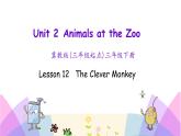 Unit 2 Lesson 12 The Clever Monkey 课件+素材