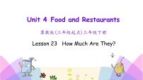 冀教版 (三年级起点)三年级下册Lesson 23 How Much Are They?精品ppt课件