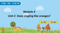 外研版 (三年级起点)三年级下册Unit 2  Does Lingling like oranges?获奖ppt课件