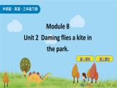 Module 8 Unit 2 Daming flies a kite in the park 课件+素材