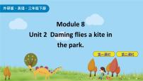 小学Unit 2  Daming flies a kite in the park.优质课件ppt