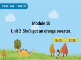 Module 10 Unit 2 She's got an orange sweater 课件+素材