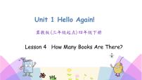 小学英语冀教版 (三年级起点)四年级下册Lesson 4 How Many Books Are There?一等奖ppt课件