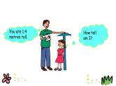 Unit 3 Lesson 14 Are You Short or Tall 课件+素材