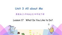 小学英语Lesson 17 What Do You Like to Do?精品ppt课件