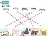 人教版五年级下册：Unit 5 Whose dog is it Part B & Part C 第三课时 课件PPT+素材