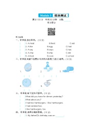 外研版 (三年级起点)五年级下册Module 3模块综合与测试优秀单元测试课后测评
