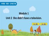Module 1 Unit 2 She didn’t have a television 课件+素材
