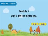 Module 5 Unit 2 It’s too big for you 课件+素材