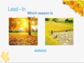 六年级上册英语课件-Unit 6   There are four seasons in a year. Lesson 35  人教精通版